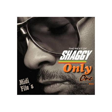 Intoxication - Shaggy - Midi File (OnlyOne)