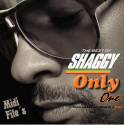 Intoxication - Shaggy - Midi File (OnlyOne)