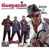 Gracias Amor - Guayacan - Midi File (OnlyOne) 