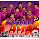 El Bote De Cerveza - Super Lamas - Midi File (OnlyOne)