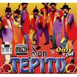 Todo De Ti - Grupo Son Tepito - Midi File (OnlyOne)