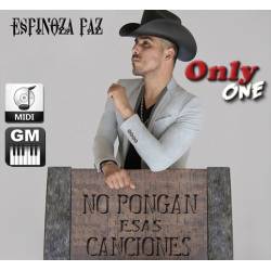 Ruido en tus Zapatos - Espinoza Paz - Midi File (OnlyOne)