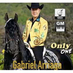 Aunque No Sea Mayo - Gabriel Arriaga - Midi File (OnlyOne)