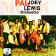 Debbie - Pal Joey Lewis Orchestra - Midi File (OnlyOne)